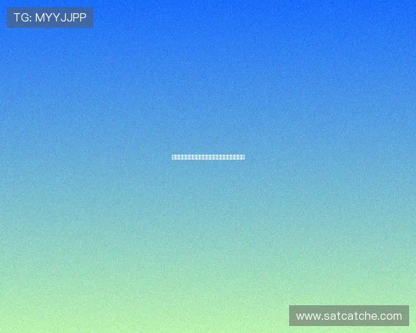 《警花与警犬》：当忠诚的伙伴遇上无畏的玫瑰